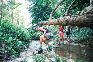 BIB: 
                            <button type="button" onclick="openModal(25433051)" class="btn btn-primary btn-sm float-right btn-popup" data-toggle="modal" data-target=".modal-high-quality">
                        <i class="fas fa-shopping-cart"></i> Add to Cart
                    </button>
                                            <button type="button" onclick="isThisMe(25433051, true)" class="btn btn-success btn-sm float-right btn-popup btn-isme hidden" data-toggle="tooltip" data-placement="bottom" title="นี่คือรูปของคุณใช่ไหม คลิกที่นี่เพื่อเอาเข้าอัลบั้ม">
                        <i class="fas fa-plus"></i> Add to album
                    </button>
                    <button type="button" onclick="isThisMe(25433051, false)" class="btn btn-warning btn-sm float-right btn-popup btn-isnotme hidden">
                        <i class="fas fa-ban"></i> Remove from album
                    </button>